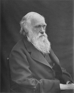 Darwin